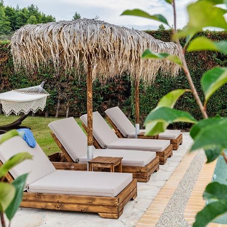 Palmrise Luxury Villas By Travel Pro Services - Nea Skioni Halkidiki 外观 照片