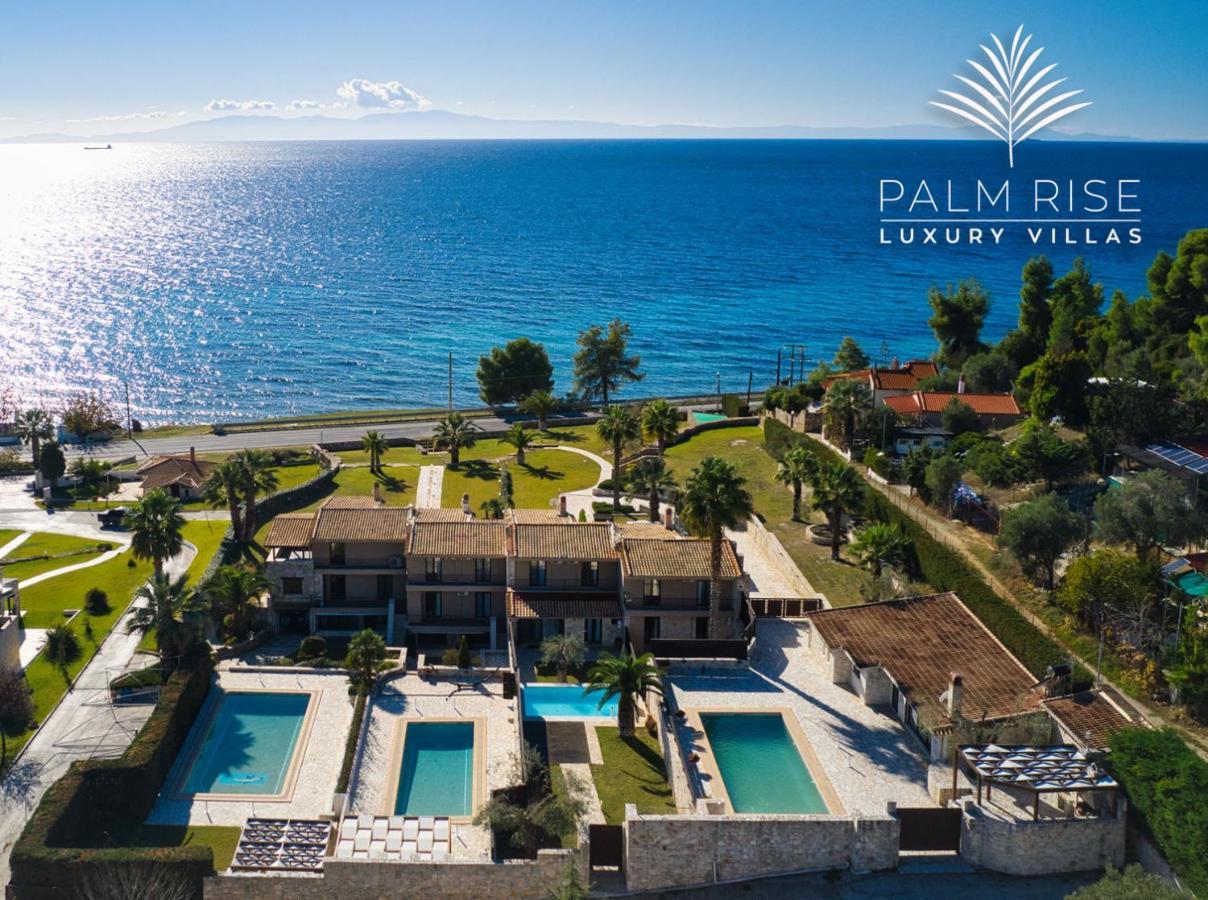 Palmrise Luxury Villas By Travel Pro Services - Nea Skioni Halkidiki 外观 照片